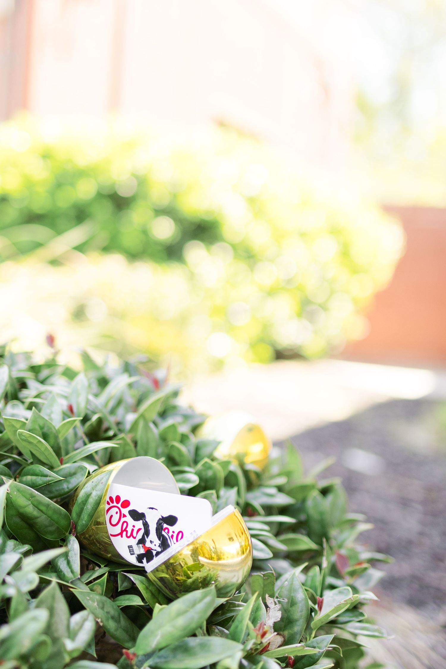 A delicate white butterfly with black markings rests among green leaves in a garden setting.