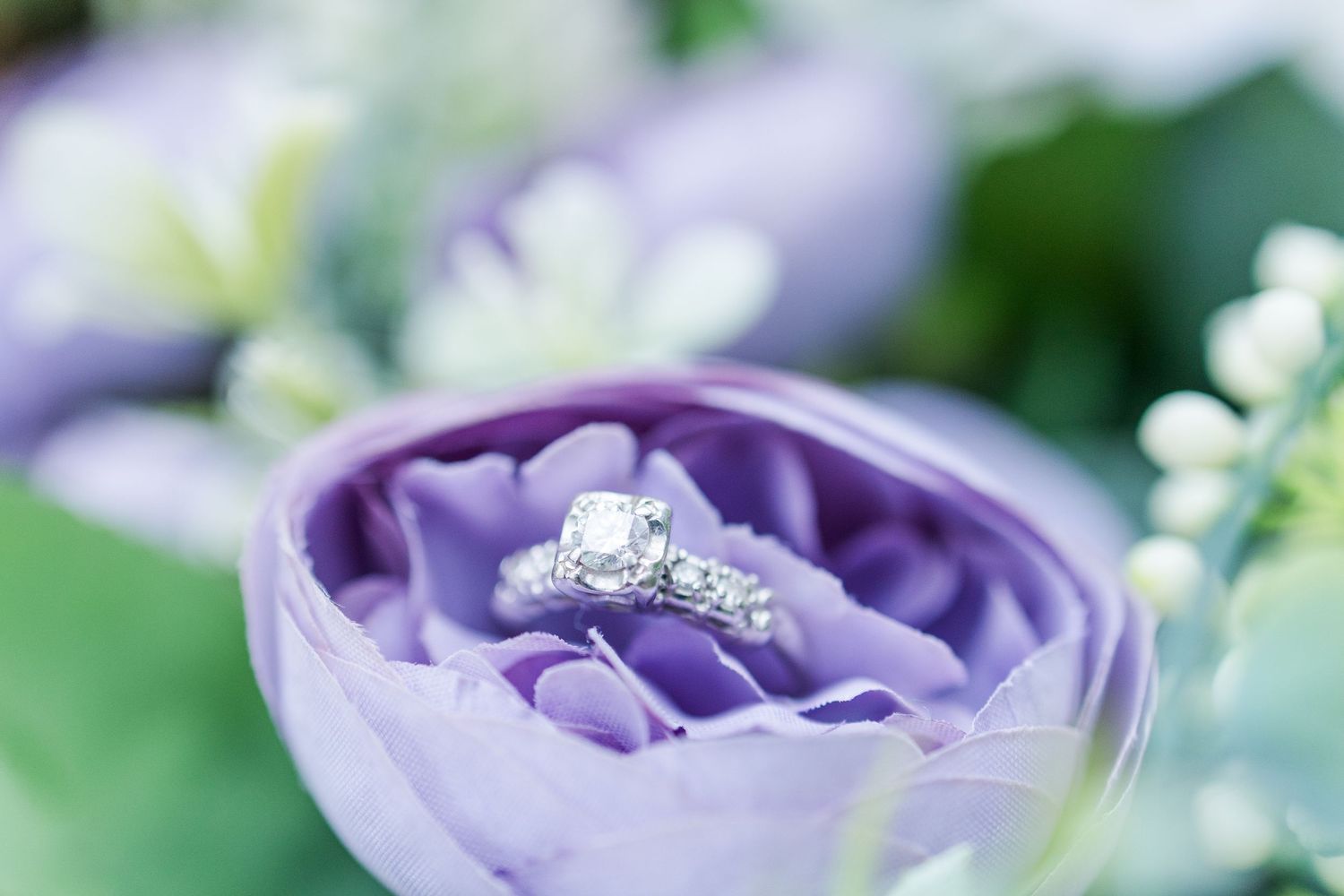 Purple and white lisianthus flowers bloom in a garden with soft bokeh background and natural lighting.