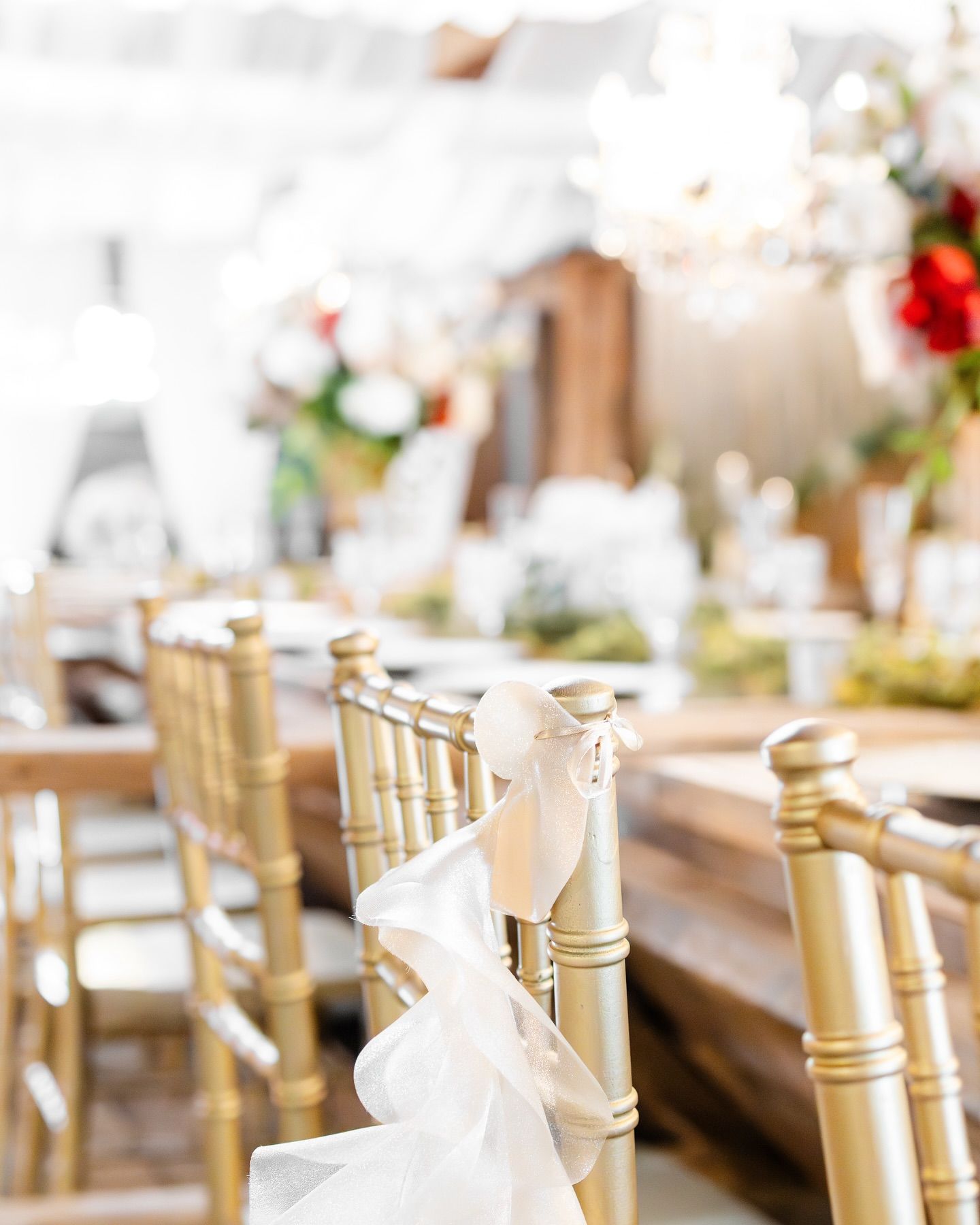 Gold Chiavari chairs arranged neatly at an elegant wedding reception with white table settings.