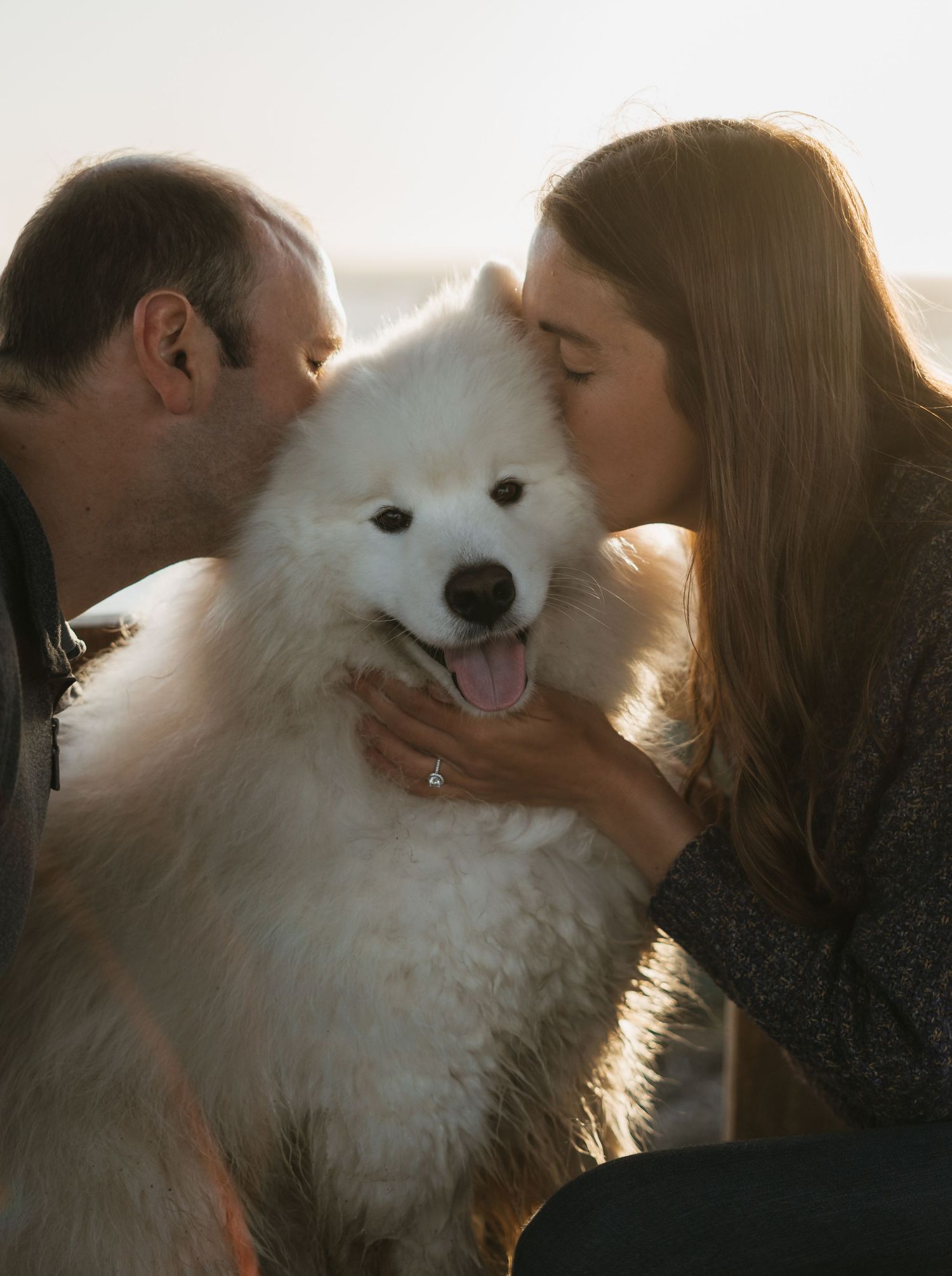 A fluffy white Samoyed dog receives affection and kisses as sunlight creates a warm backlit glow.
