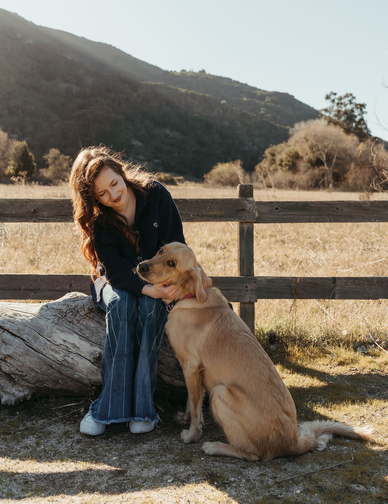 A golden retriever mix sits beside a rustic wooden fence in a golden-lit outdoor setting near hillsides at sunset.