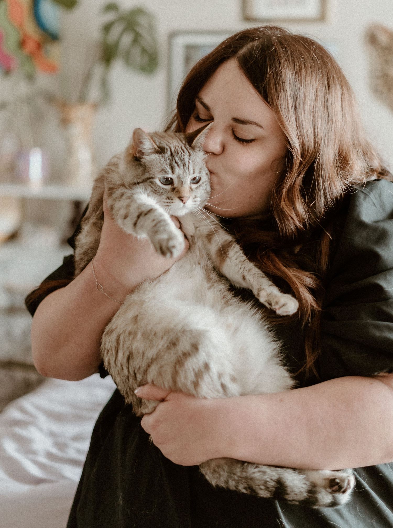 Someone in a dark shirt gently cuddles and kisses their grey and white striped cat in a cozy home setting.