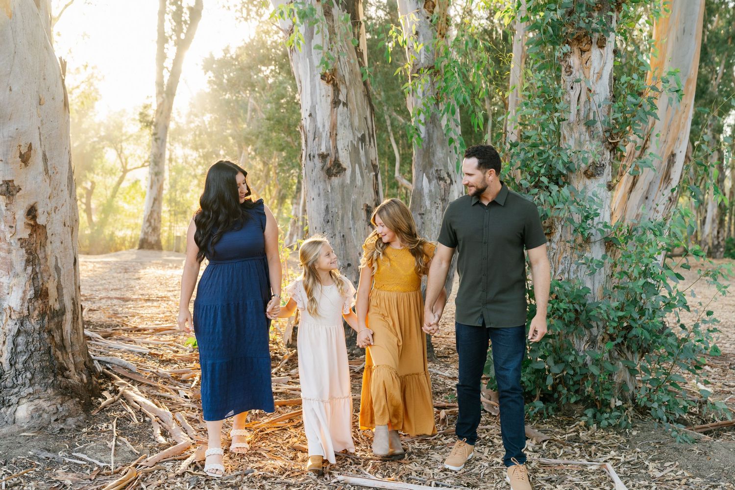 Family of four walking hand-in-hand through a golden sunlit eucalyptus grove.