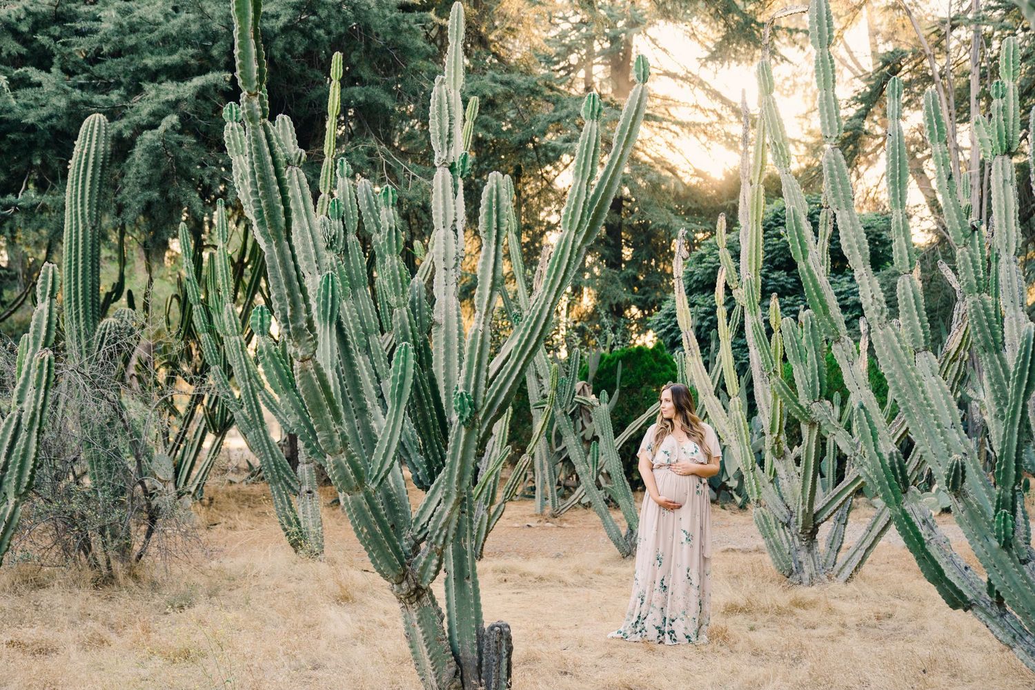 White dress contrasts against towering desert cacti in dreamy photography setting.