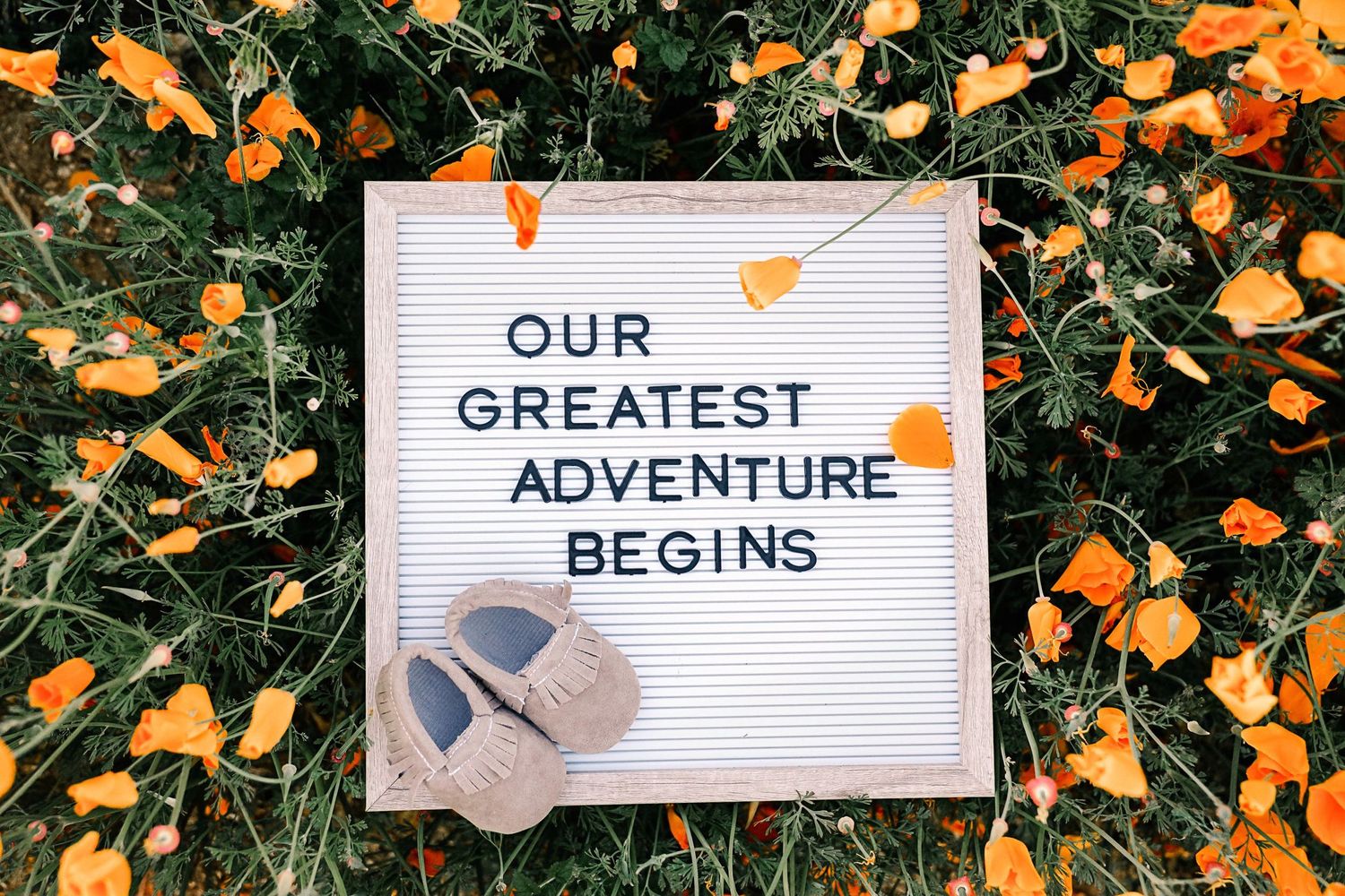 Letter board with baby shoes reads 'Our Greatest Adventure Begins' among orange flowers.