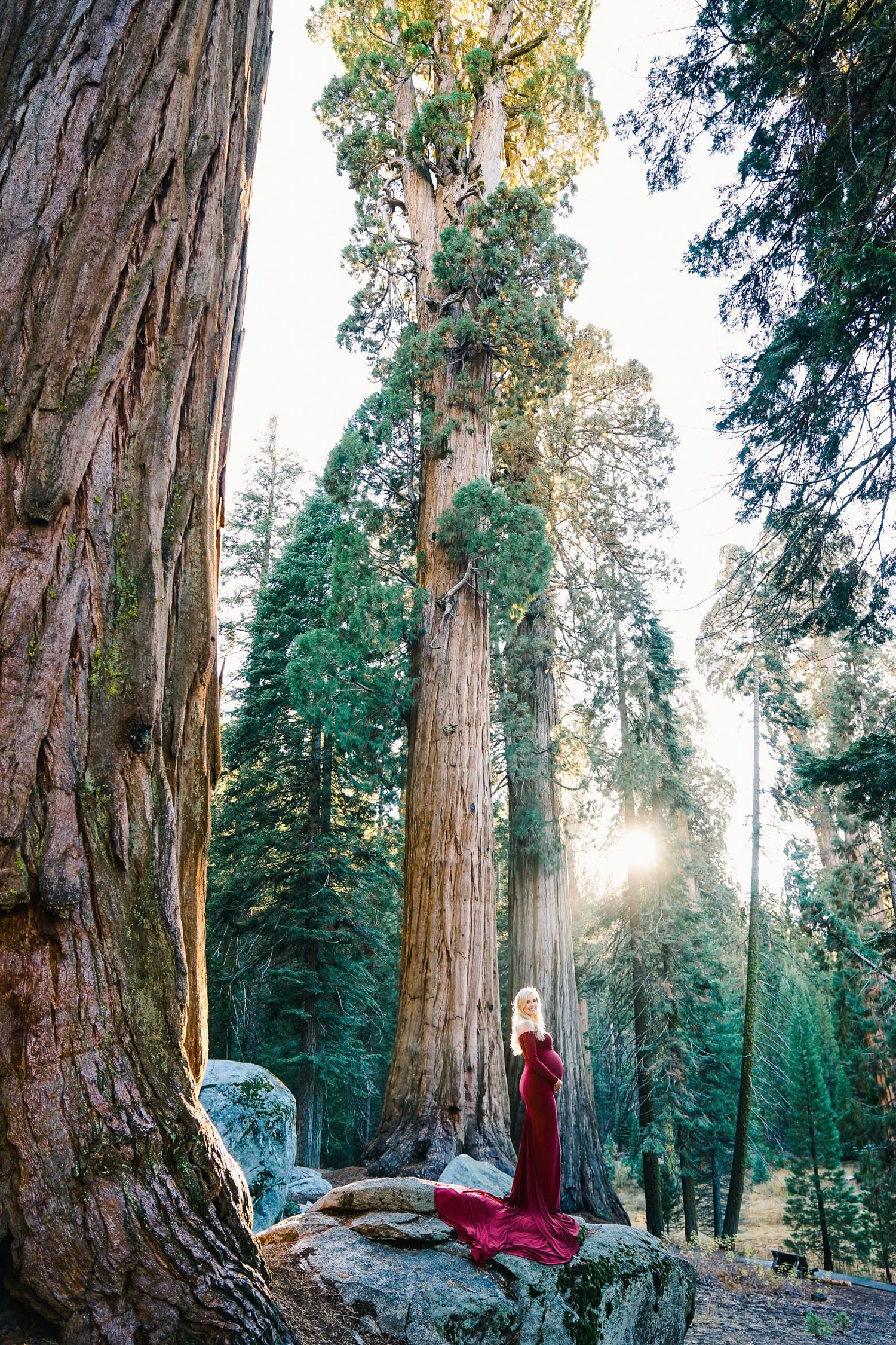 Maternity portrait in red dress against massive sequoia trees in forest.