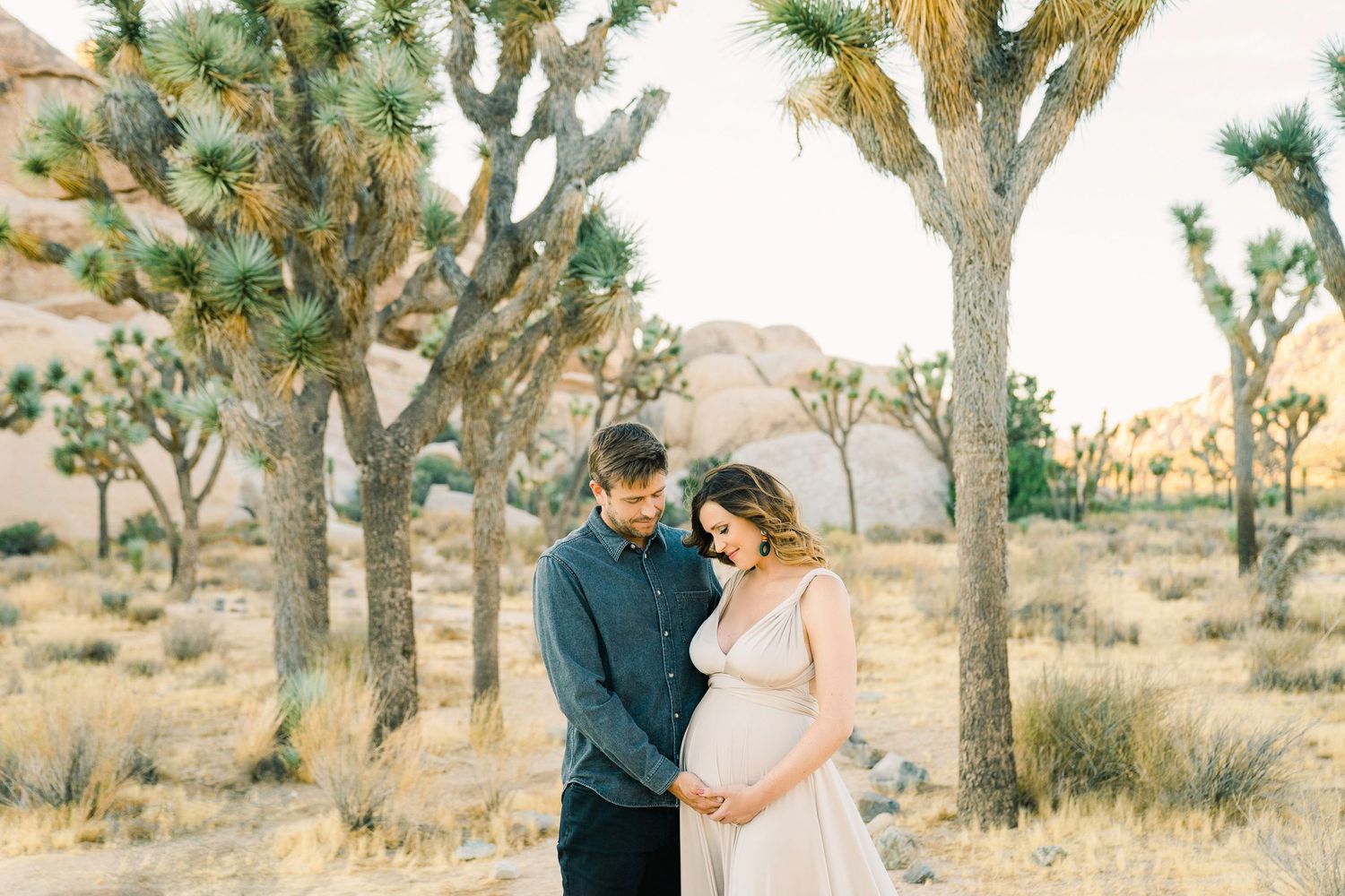 Romantic maternity photo of couple standing among Joshua trees in desert during golden hour.