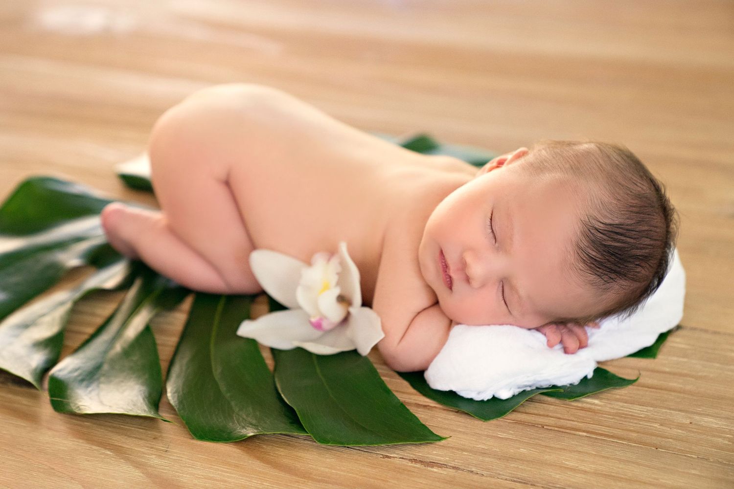 Sleeping newborn posed on tropical monstera leaf with white flower accent.
