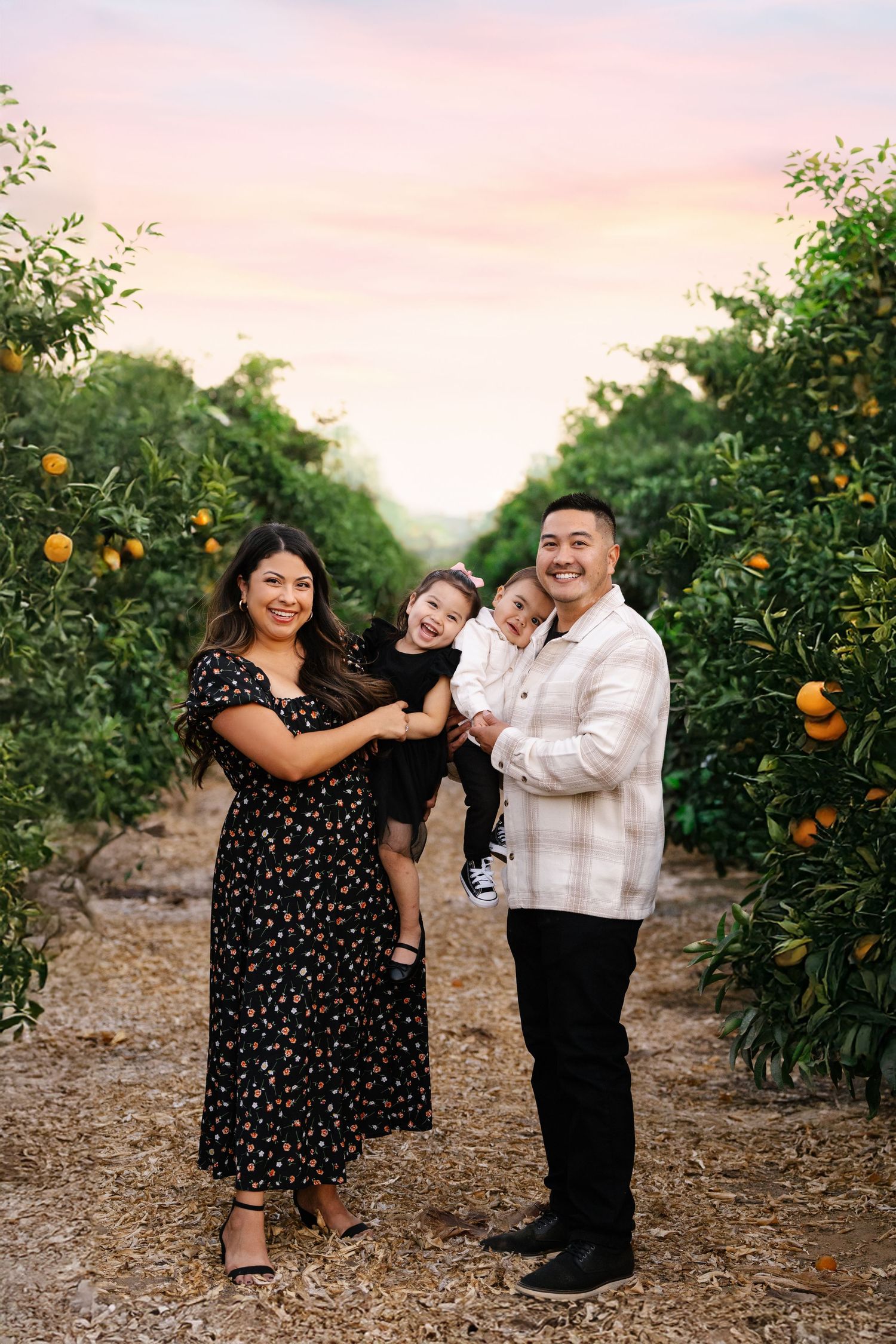 A family enjoying time together in a citrus grove during sunset.