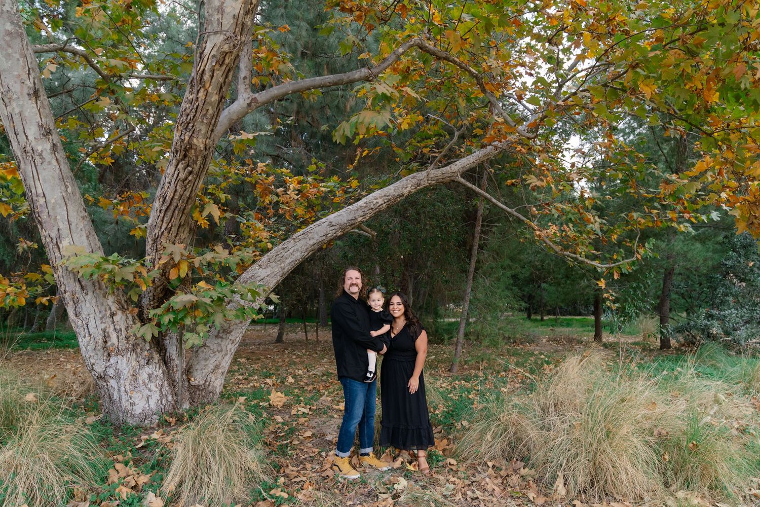 A couple stands beneath a large autumn tree with colorful foliage.