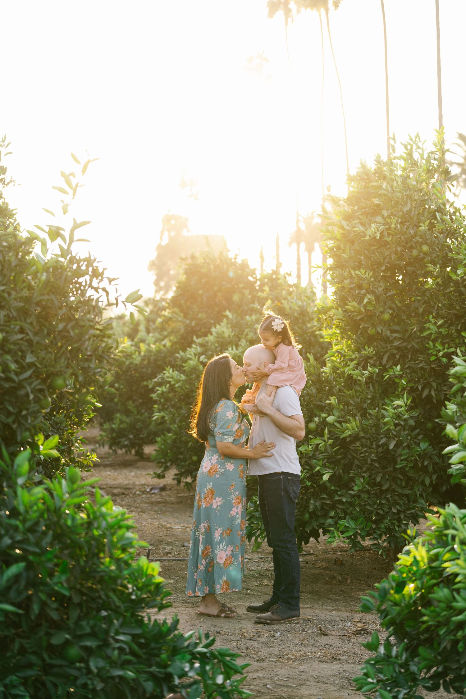 Family shares an intimate moment in a citrus grove during golden hour sunset.