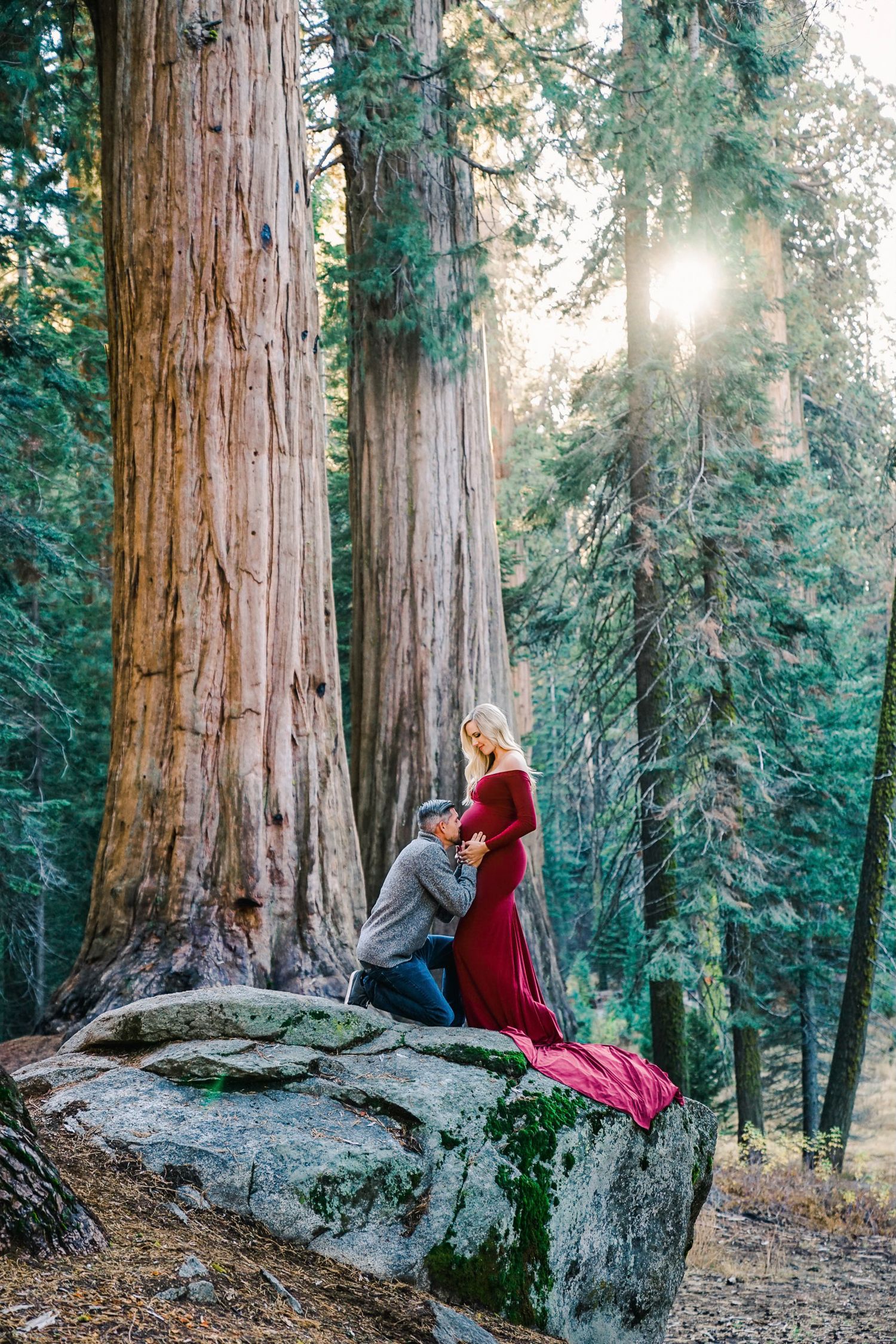 A romantic proposal moment between two people near giant sequoia trees in a forest at sunset.