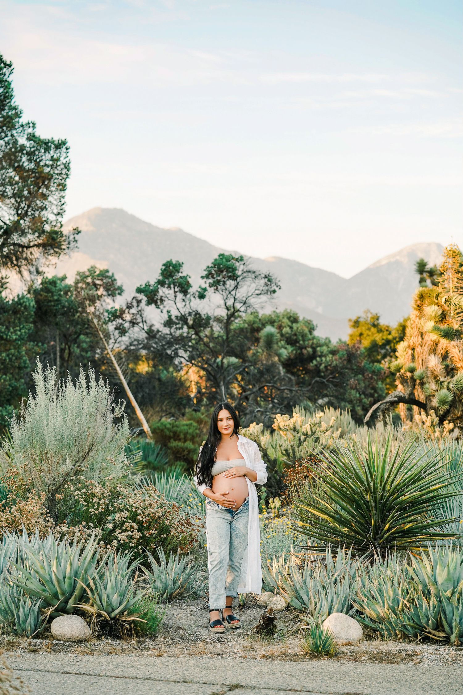 Desert garden maternity photo with mountains and native plants in golden afternoon light.