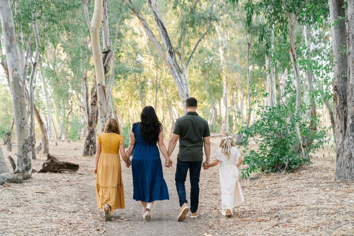 Family of four walking hand-in-hand through a sunlit tree-lined path in a lush green forest.