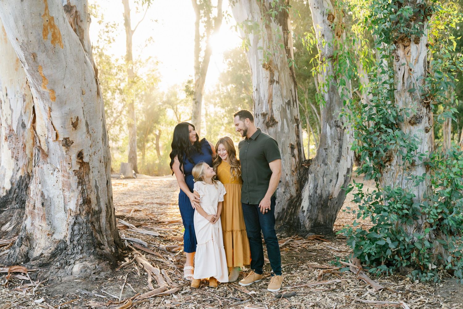 Family of four posing among tall eucalyptus trees in golden sunlight during an outdoor photo session.