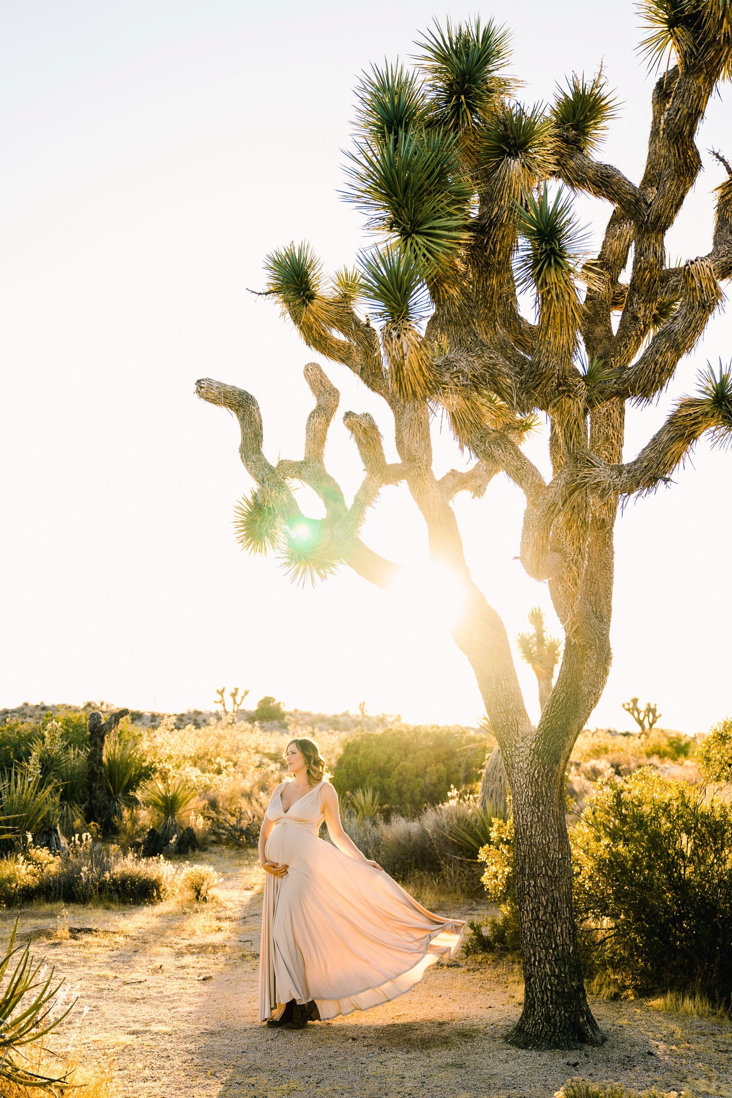 Ethereal maternity photo with flowing dress against golden sunlit Joshua tree in desert landscape.