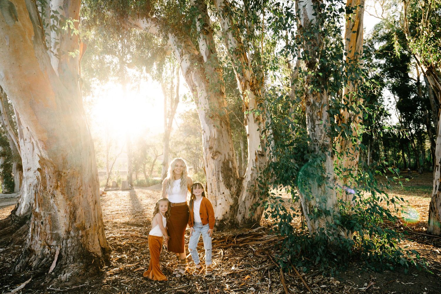 A mother and two children stand among towering eucalyptus trees in golden sunlight in a serene outdoor setting.