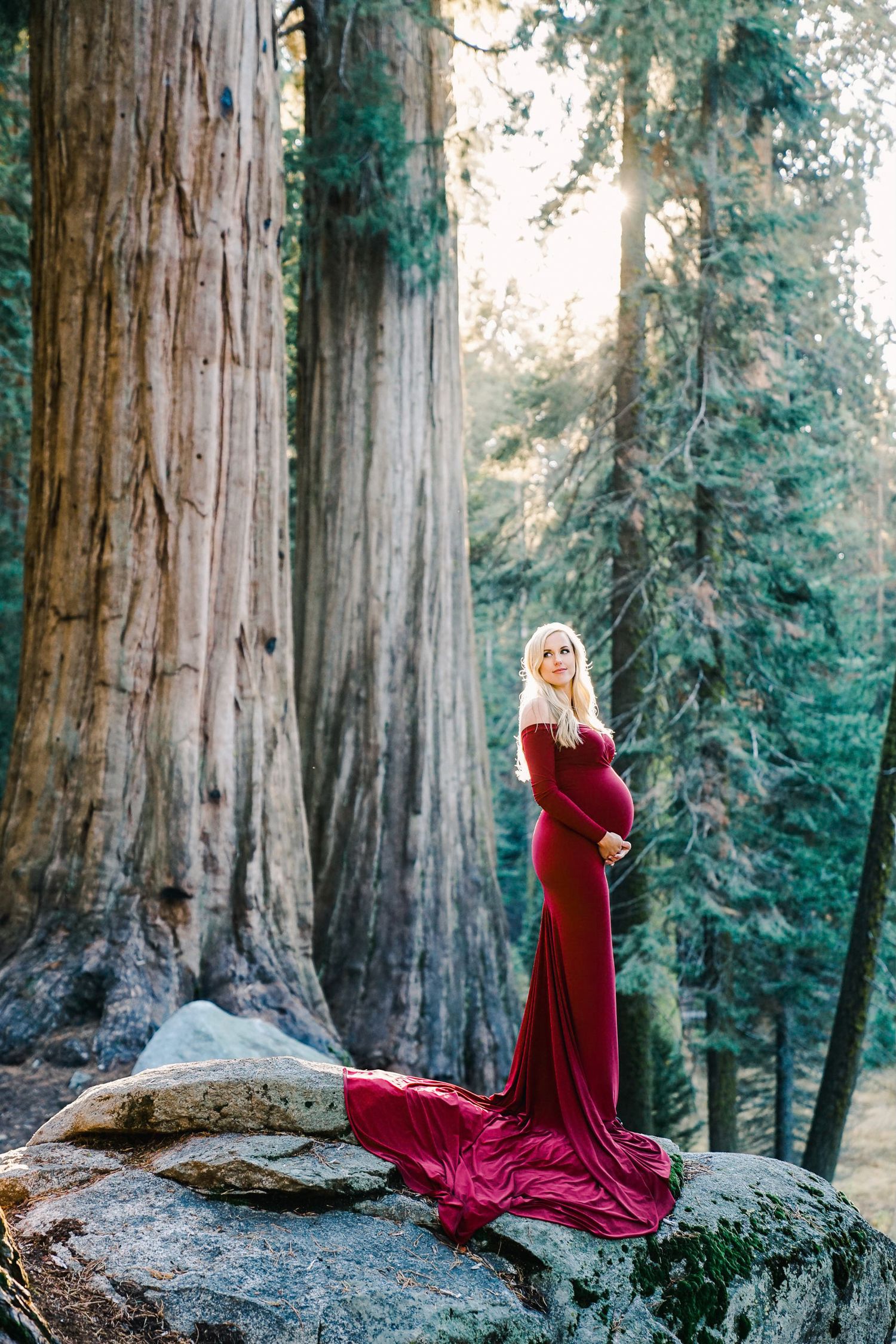 Dramatic maternity portrait in burgundy gown among towering redwood trees.