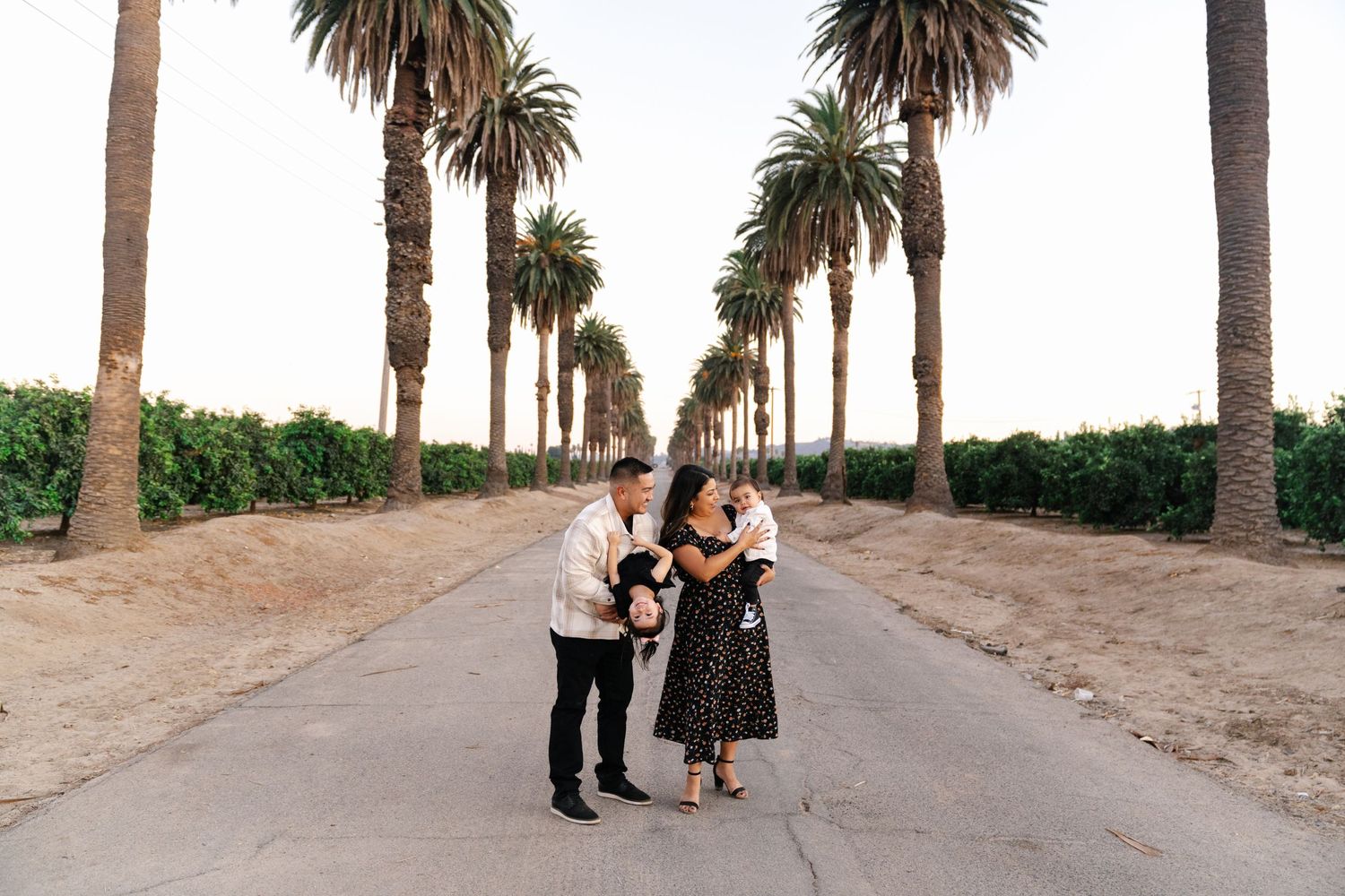 A family enjoys a stroll down a scenic palm-lined dirt road.