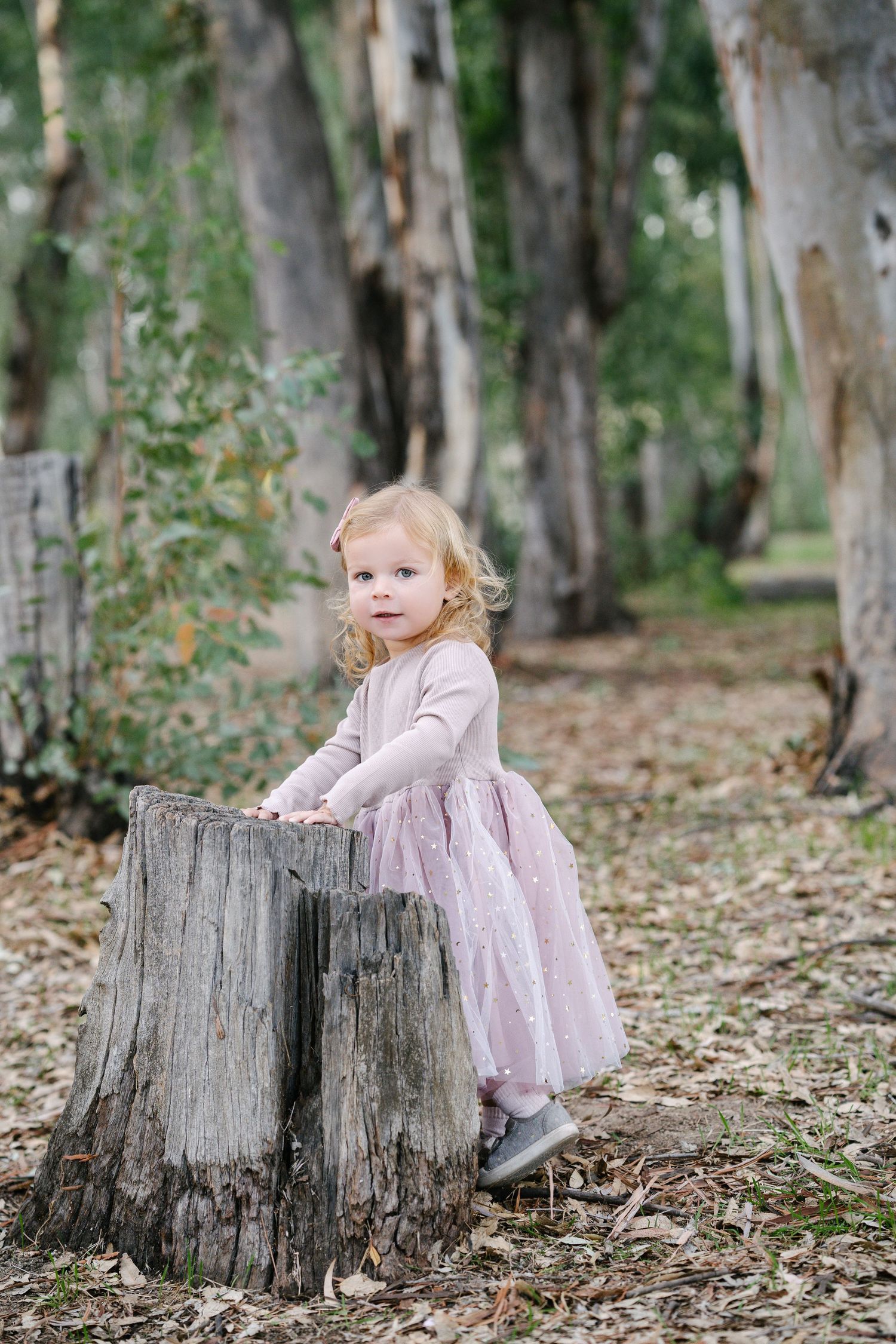 Toddler girl in pink tutu dress standing by a rustic tree stump in a lush green forest setting.