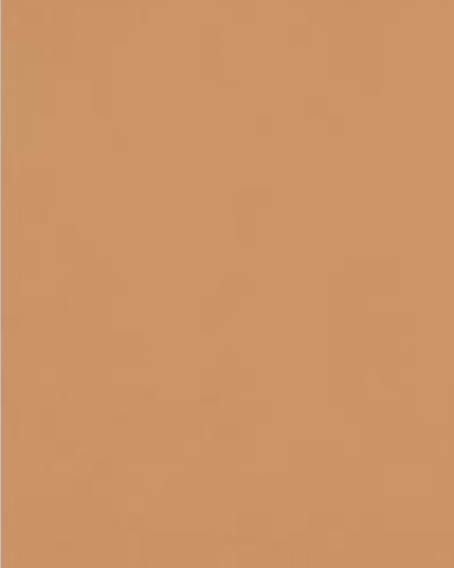 Background choices Brown sugar
Yorktown, 757, Williamsburg, Richmond photography,
