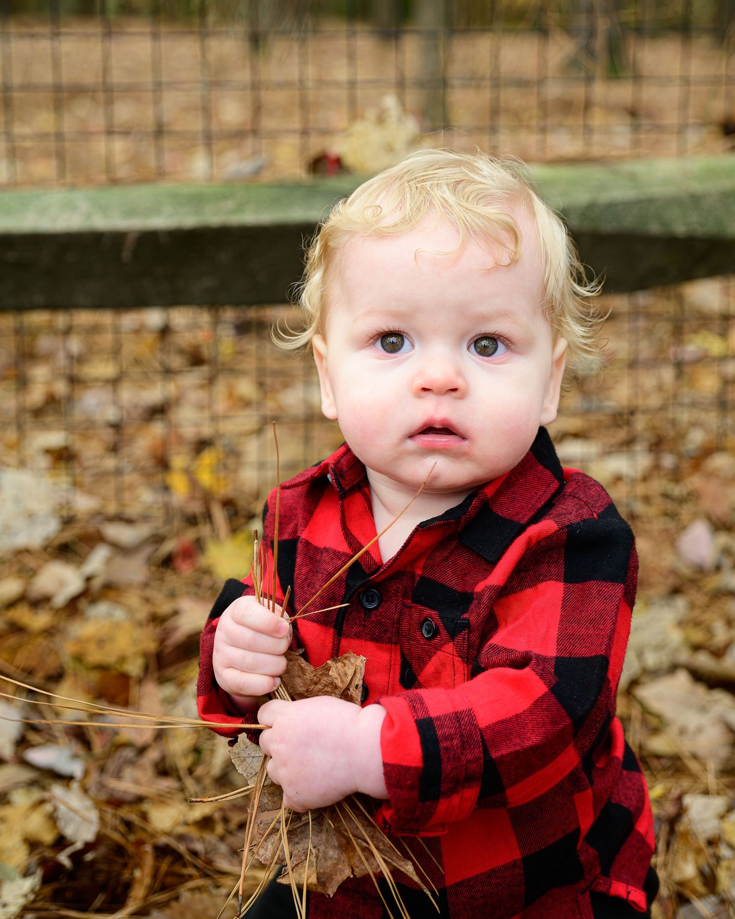 Family portraits 757, Williamsburg family photography, outdoor family photos Virginia, Hampton Roads family photographer, creative sessions.