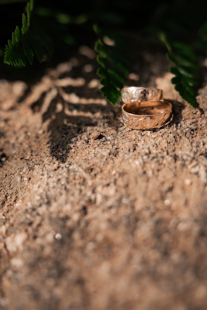 Two gold wedding rings nestled on textured soil with green fern leaves in the background.