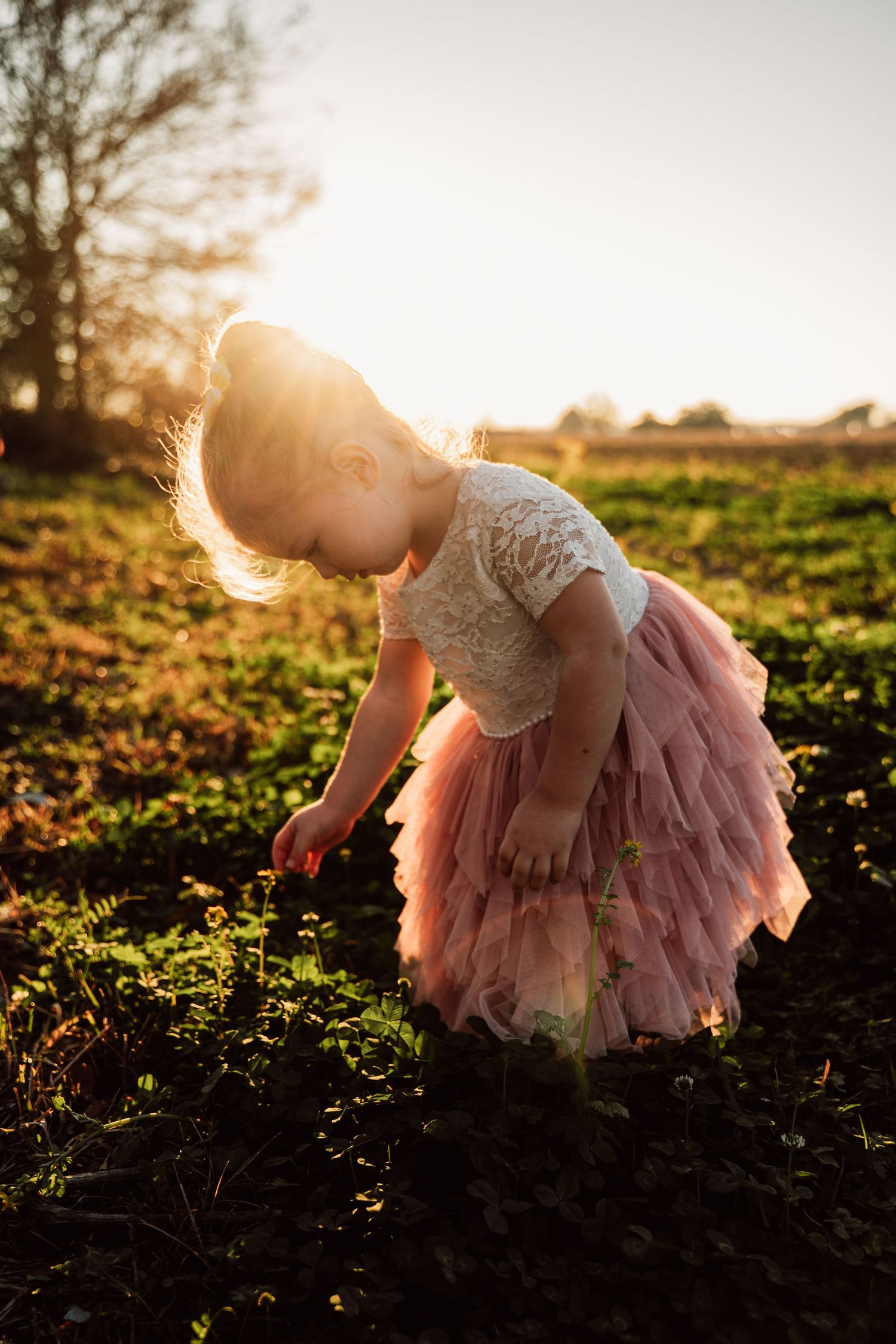 A figure in a pink tulle dress bends down in a sunlit field at golden hour, creating a dreamy outdoor scene.