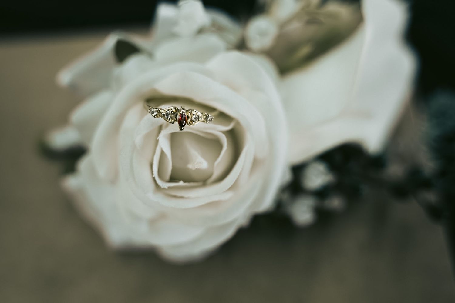 Gold engagement ring with red gemstone nestled in a white rose bloom for a romantic wedding detail photo.