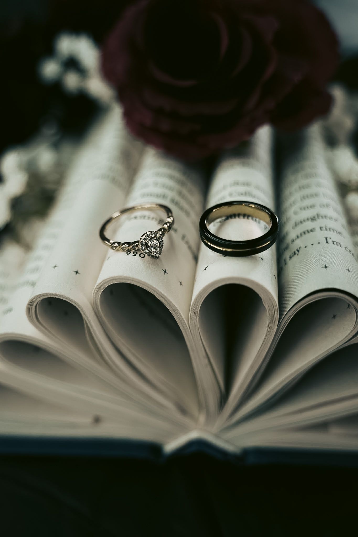 Two wedding rings rest on heart-shaped book pages with a dark red rose, symbolizing love and marriage.