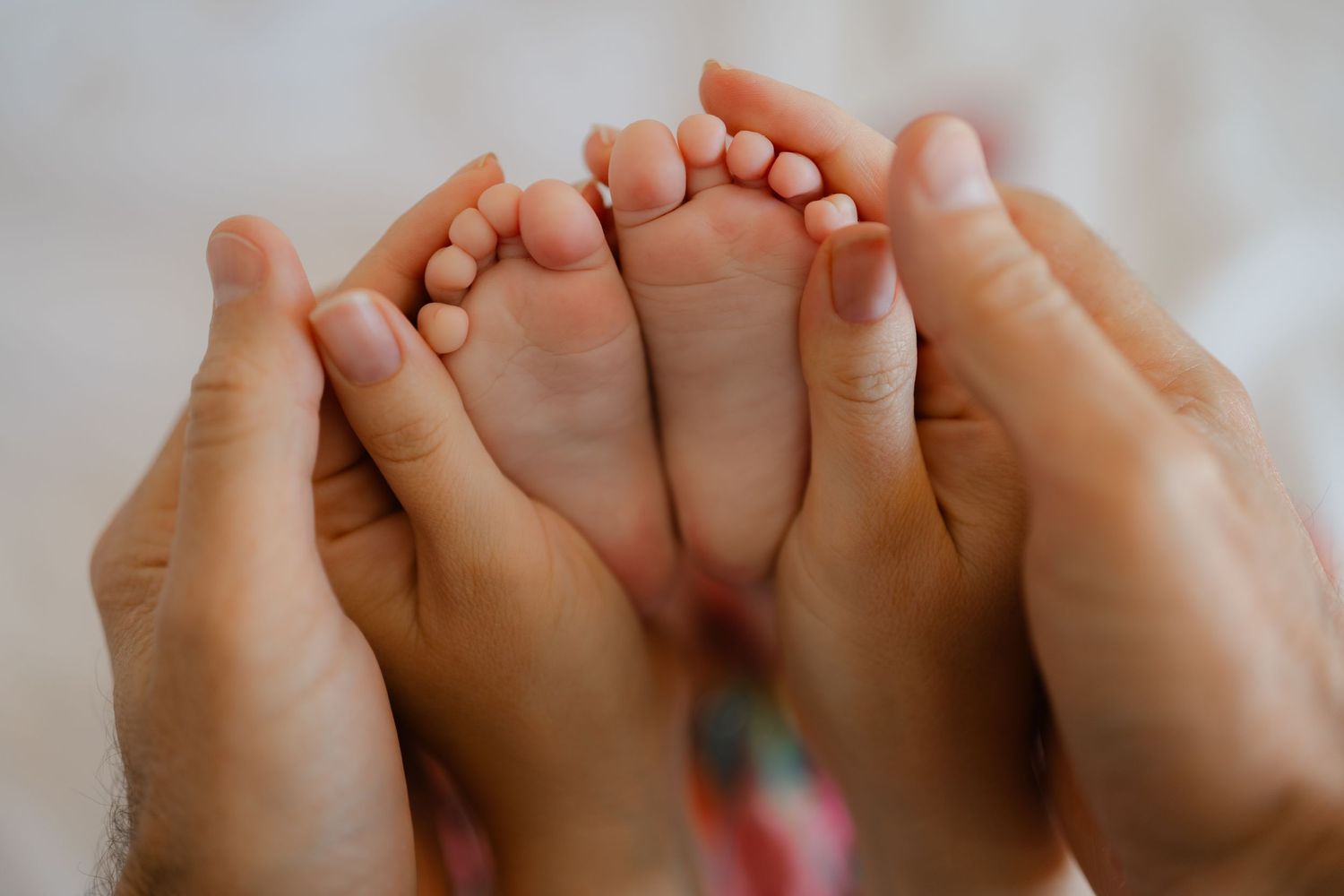 Les petits détails.