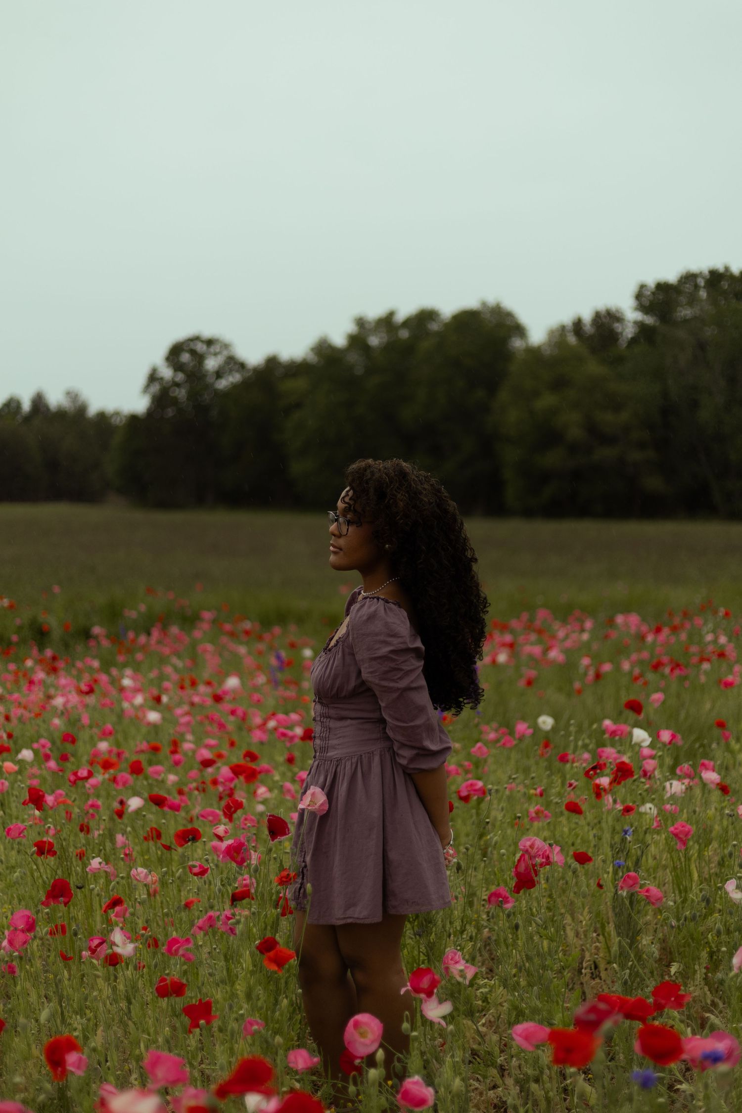 Woman in mauve dress standing in vibrant field of red and pink poppies with lush green trees in background.