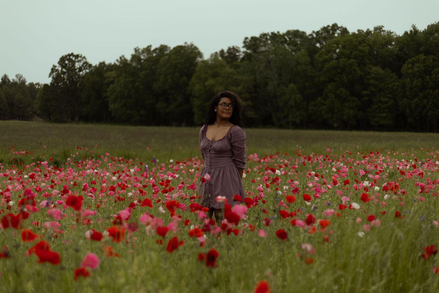 Woman in floral dress standing in vibrant red and pink poppy field with green trees in background.
