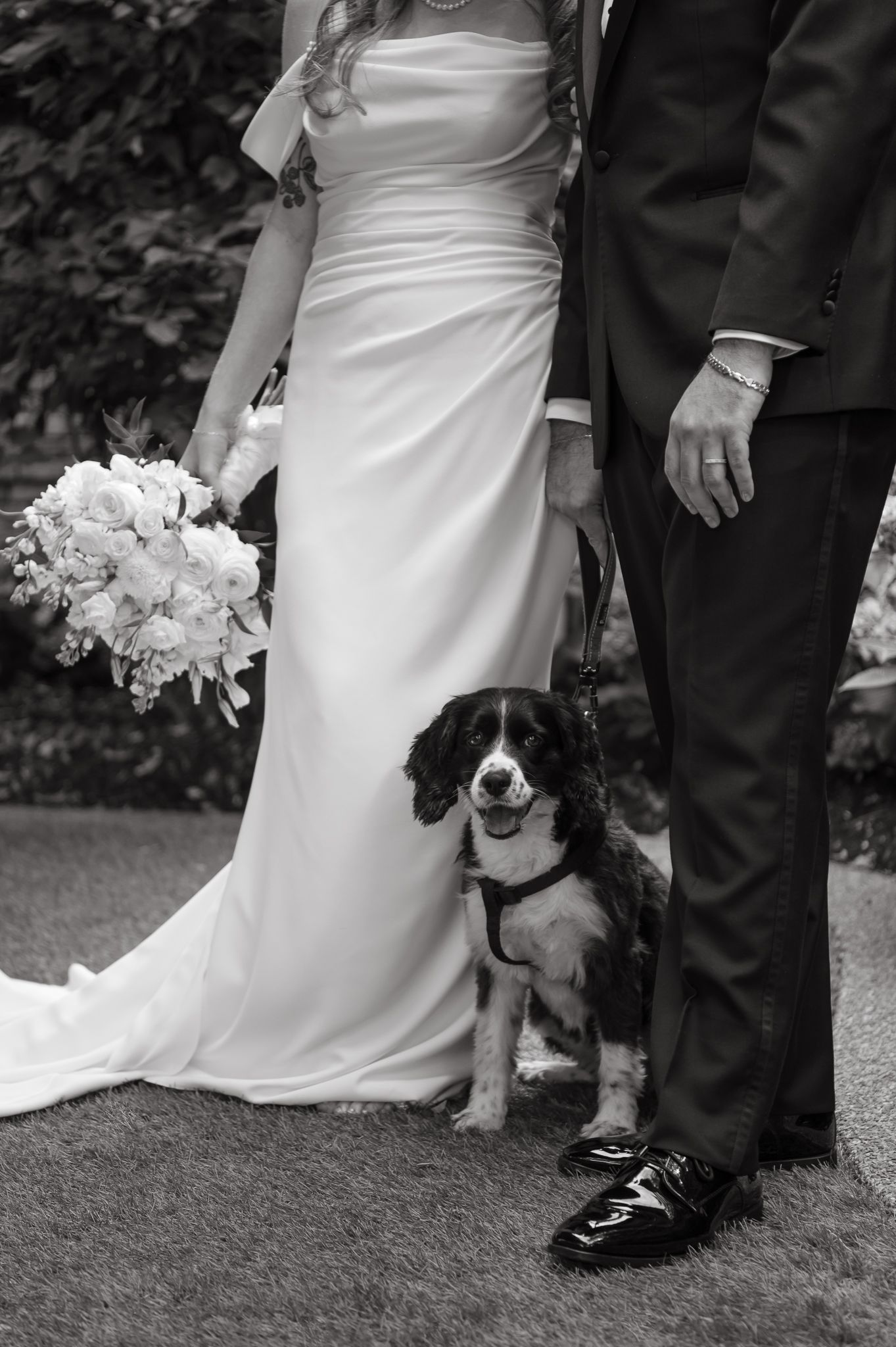 A black and white wedding photo series showing a dog sitting next to formal attire and a white bridal gown.