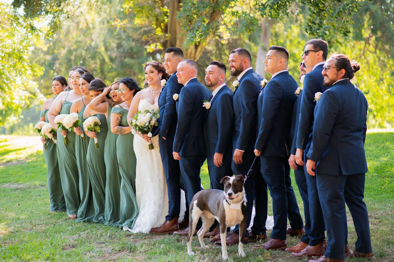 Large wedding party in navy suits and sage green dresses poses together on grassy hillside.