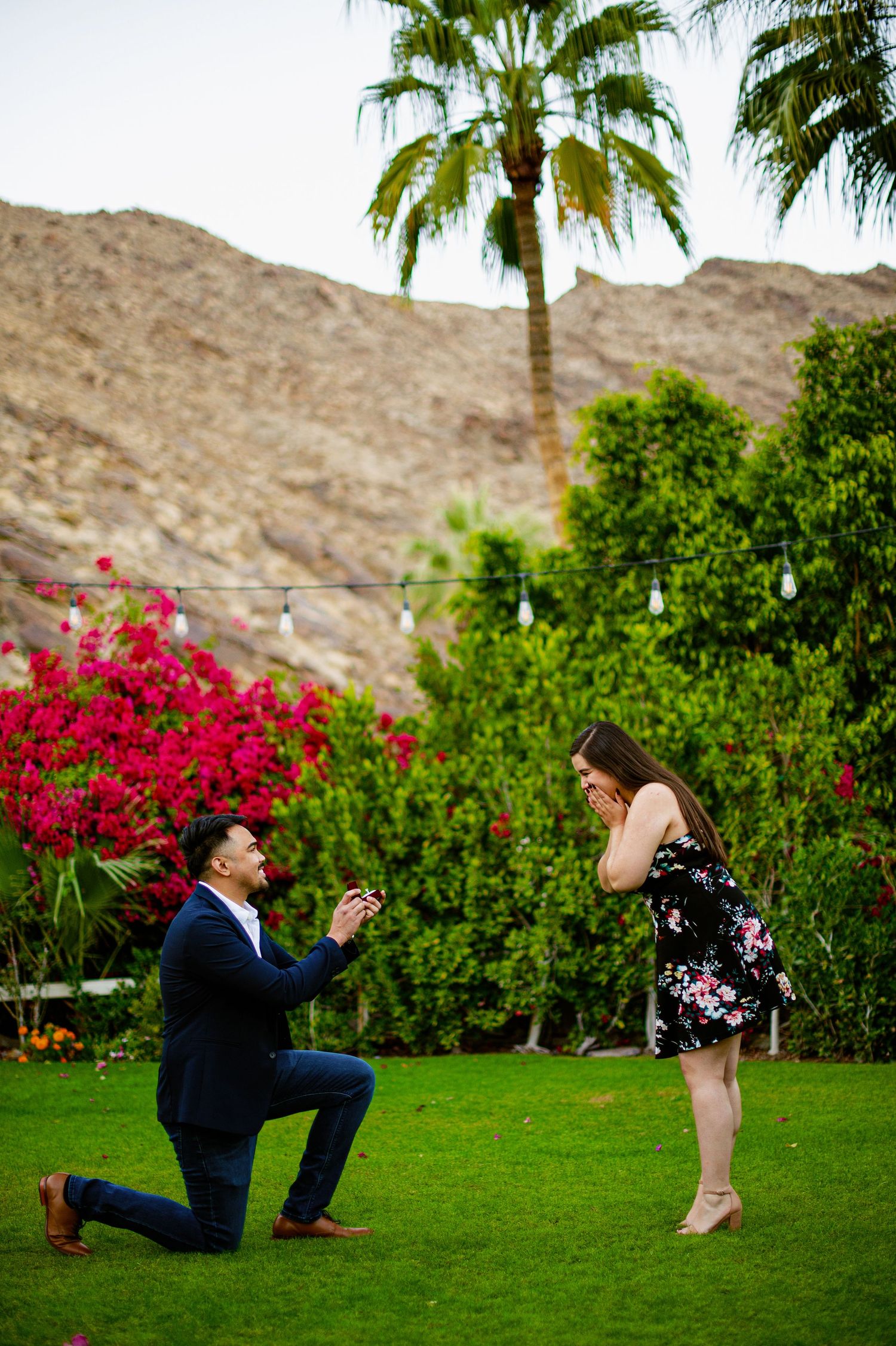 A romantic marriage proposal sequence on a lush green lawn with vibrant red flowers and palm trees in the background.