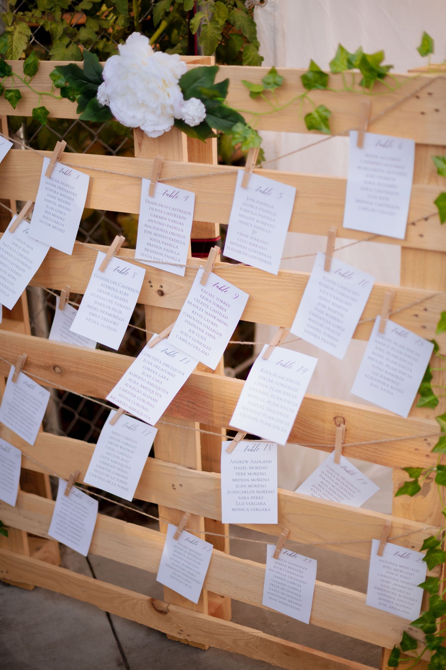Handwritten notes pinned to a wooden display board with green foliage accents.