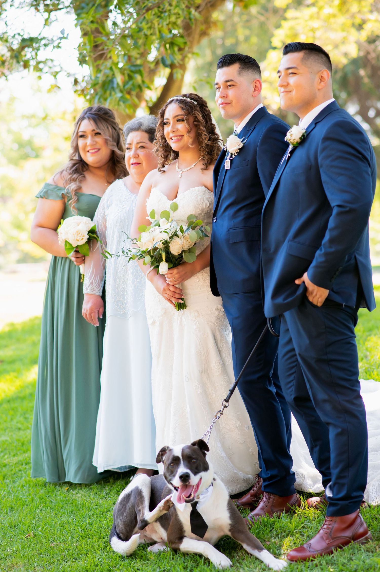 Wedding party poses on grassy hill with black and white dog sitting amongst the group.