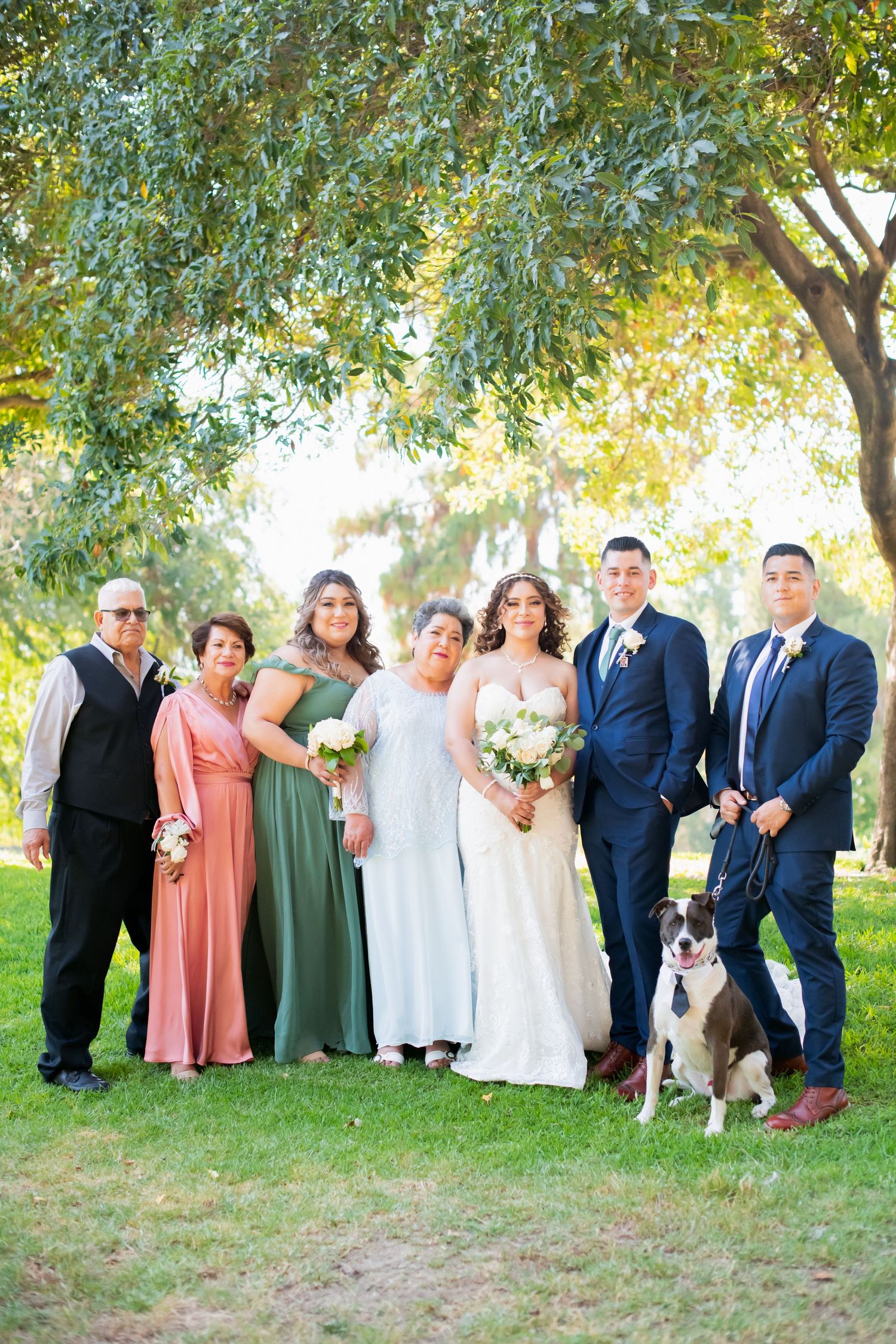 Full wedding party lineup with pets outdoors under golden sunlit trees.