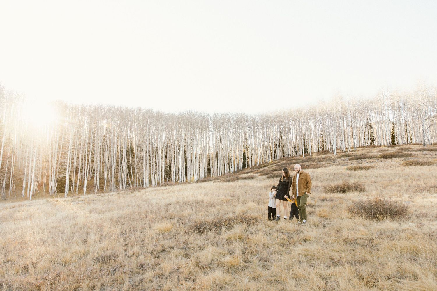 A couple walks through a scenic aspen grove with golden light filtering through white tree trunks.