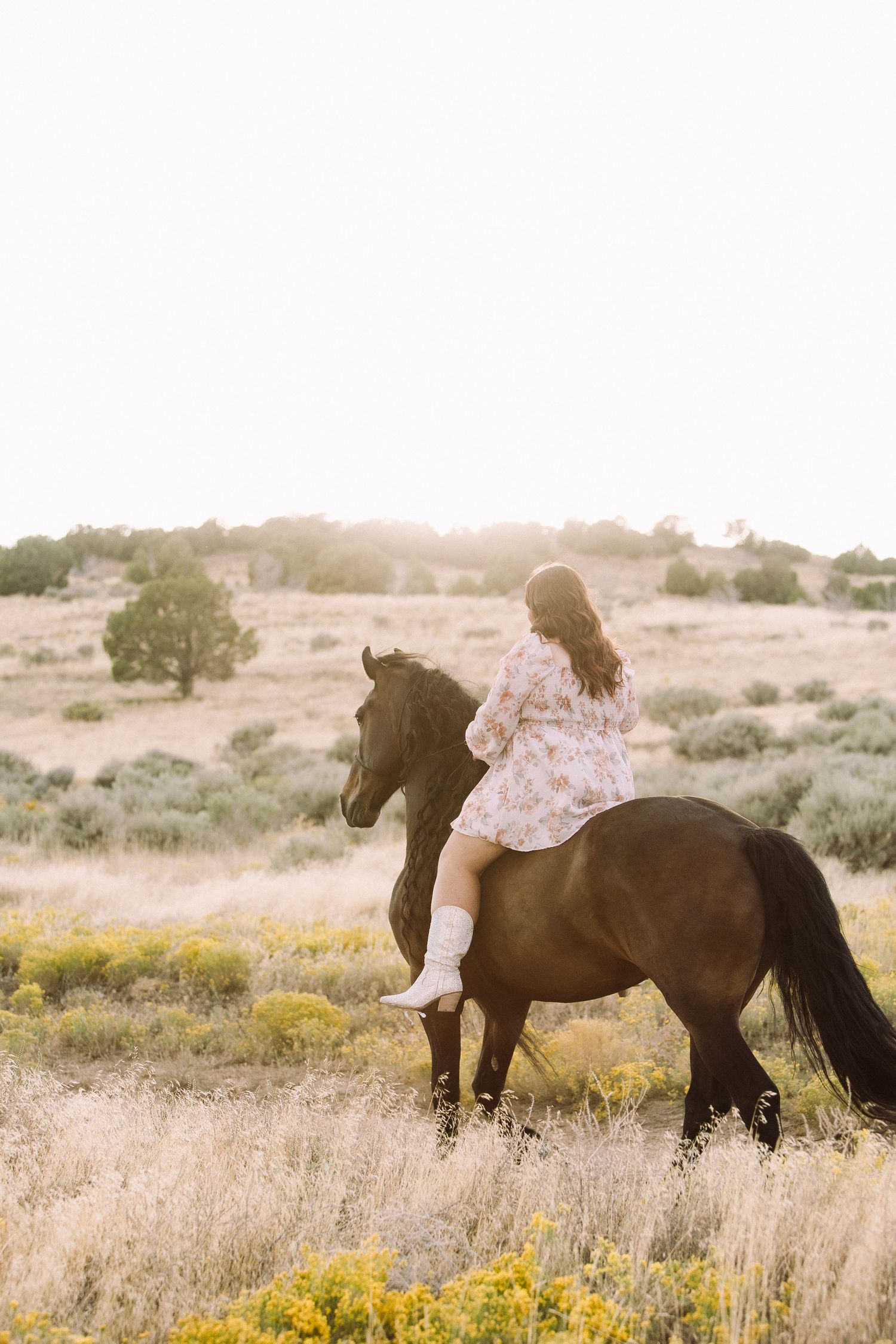 Horse and rider in desert landscape with blooming yellow wildflowers at sunset.