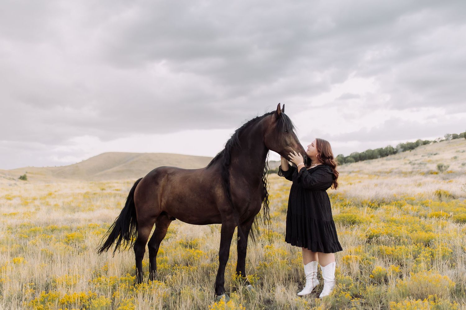 Beautiful brown horses grazing in mountain meadow with wildflowers.