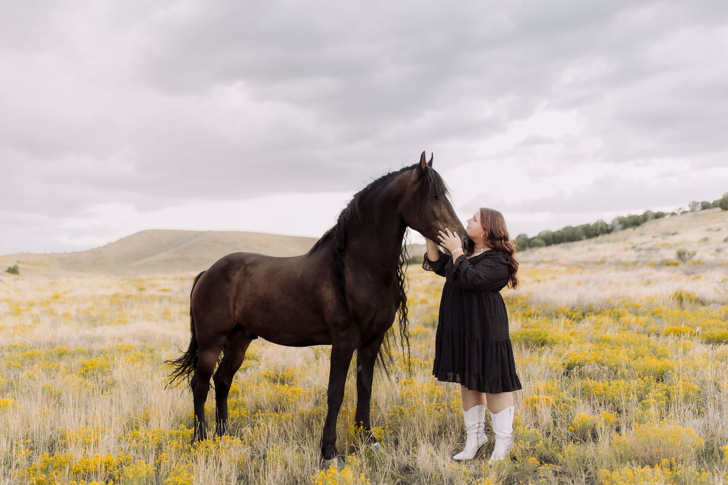Panoramic series of a dark horse and person in white boots standing in a golden field under cloudy skies.