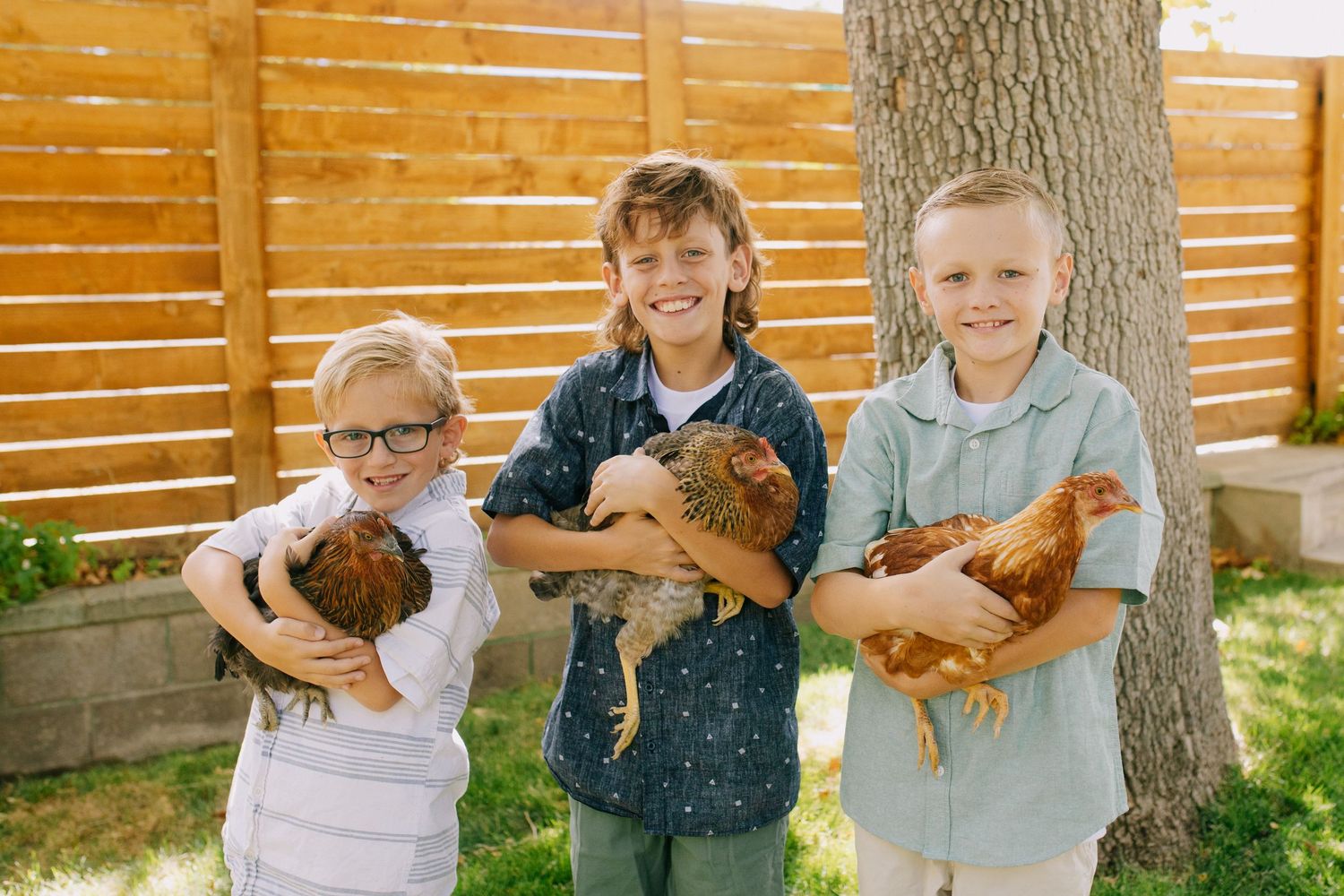 A group of children hold and display brown chickens in front of a wooden fence in a backyard setting.
