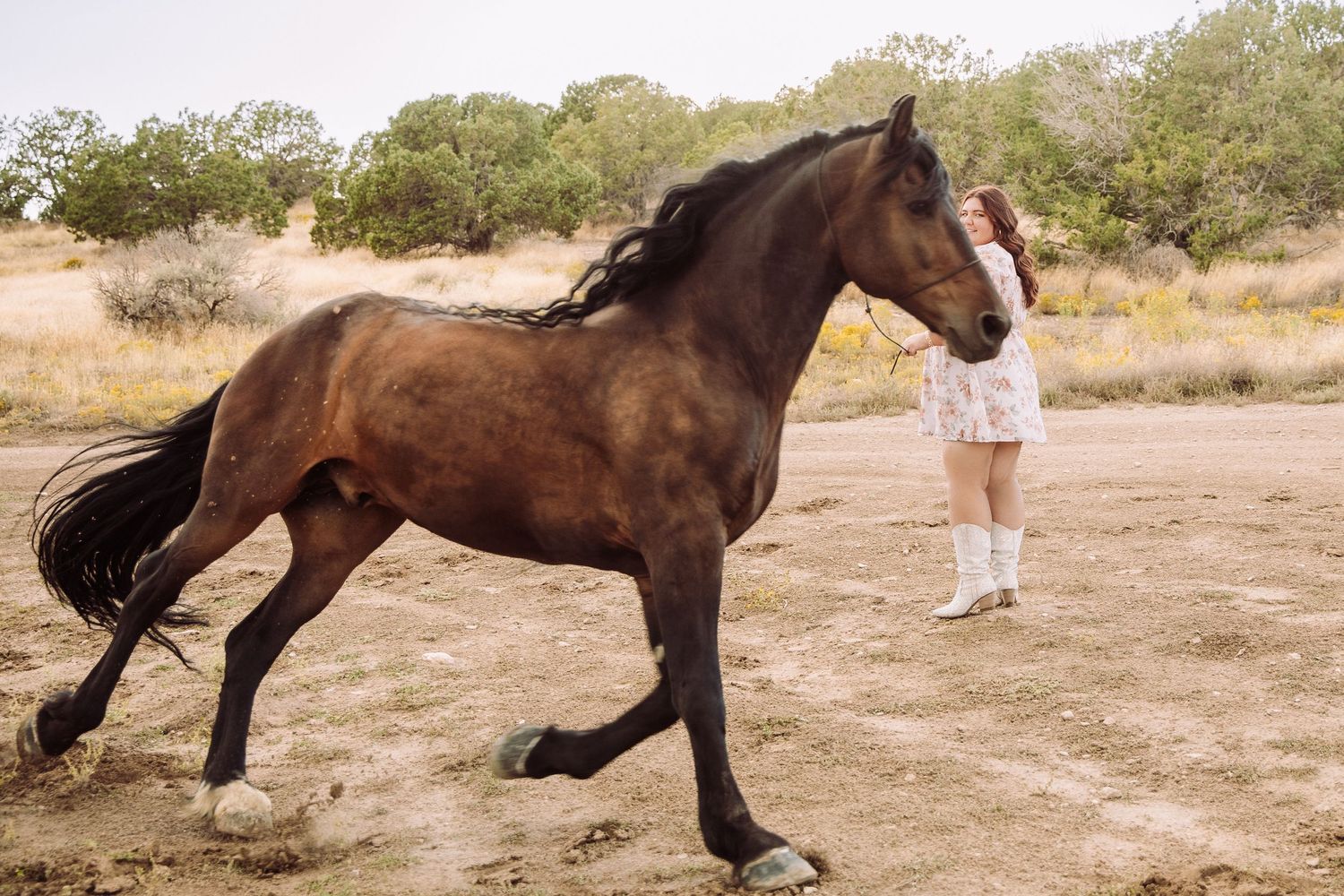 Brown horse lying down in dusty field with person standing nearby.