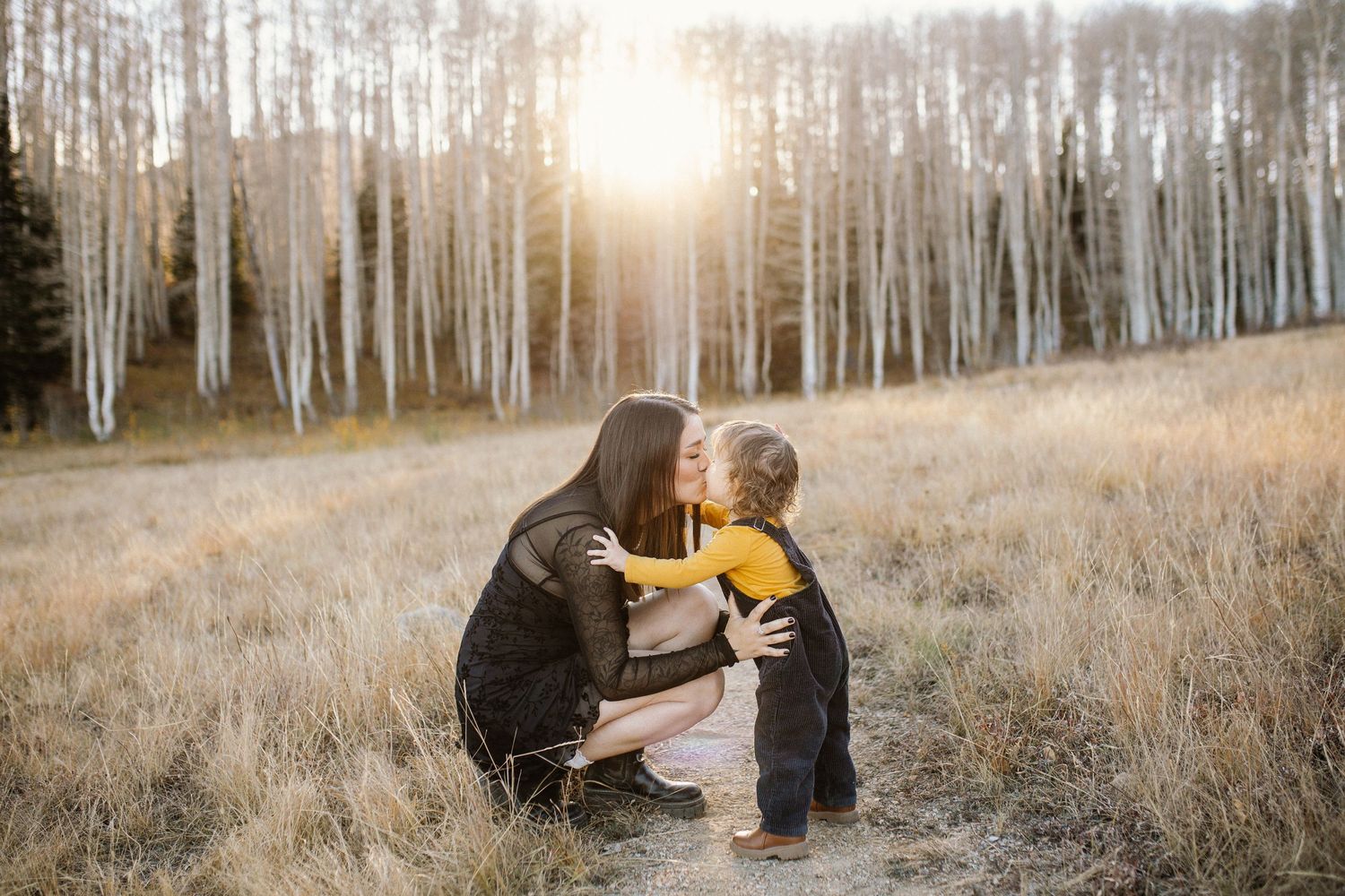 Lifestyle family photography in rustic field with aspen grove during golden hour.