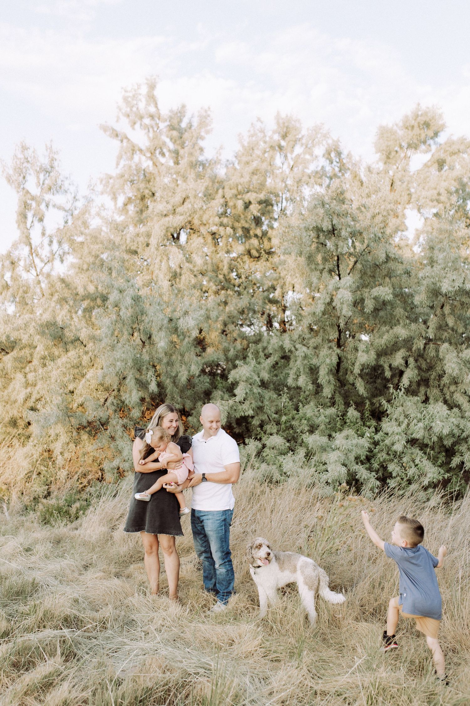 Family photoshoot sequence in nature with their fluffy white dog among trees.