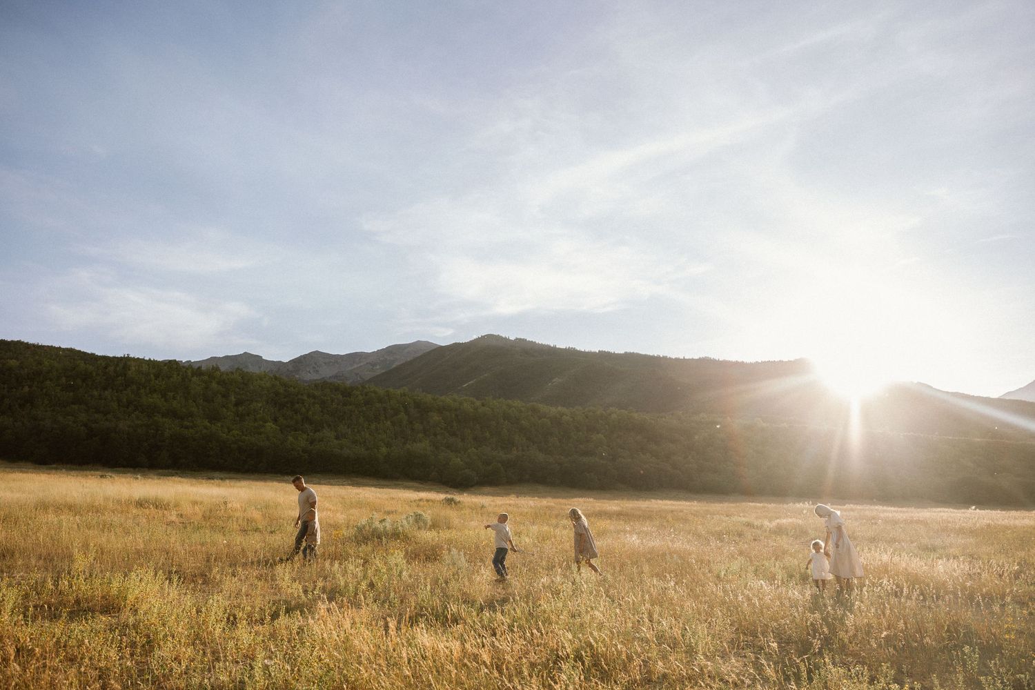 A scenic mountain landscape with a grassy meadow at sunset casting warm light across the terrain.