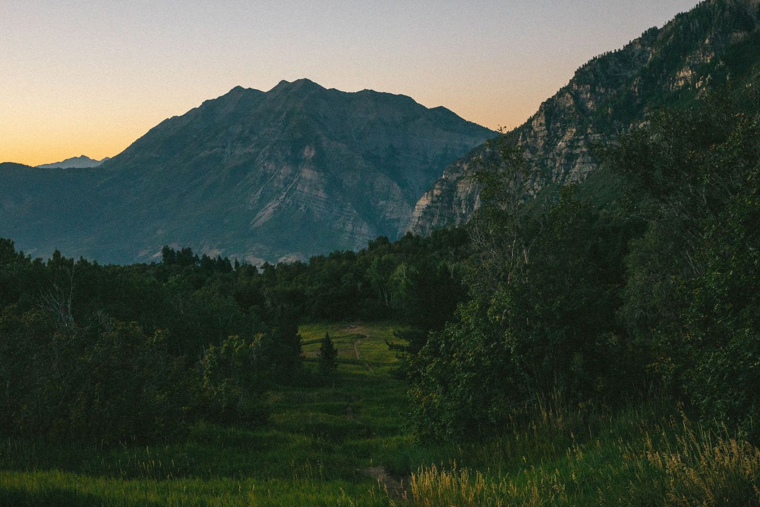Mountain vista with evergreen forests and rugged peaks under evening sky.