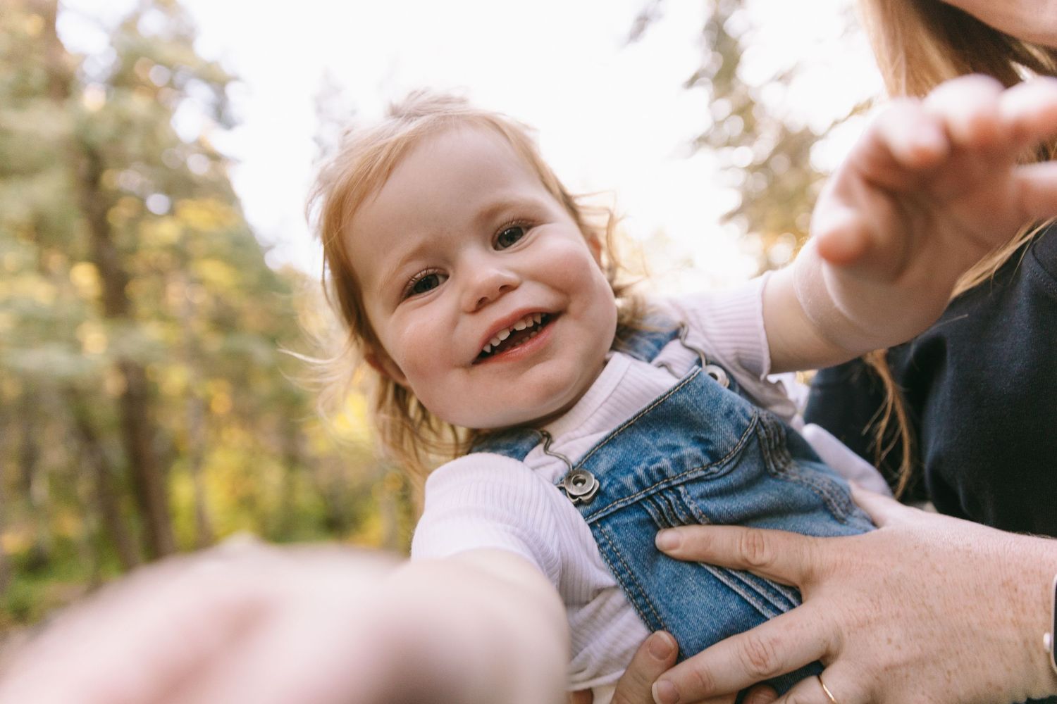 A collection of candid outdoor family moments captured during a golden sunset photoshoot in a natural setting.